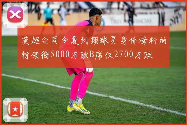 英超合同今夏到期球员身价榜科纳特领衔5000万欧B席仅2700万欧